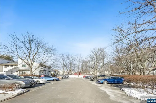 a street view with large trees
