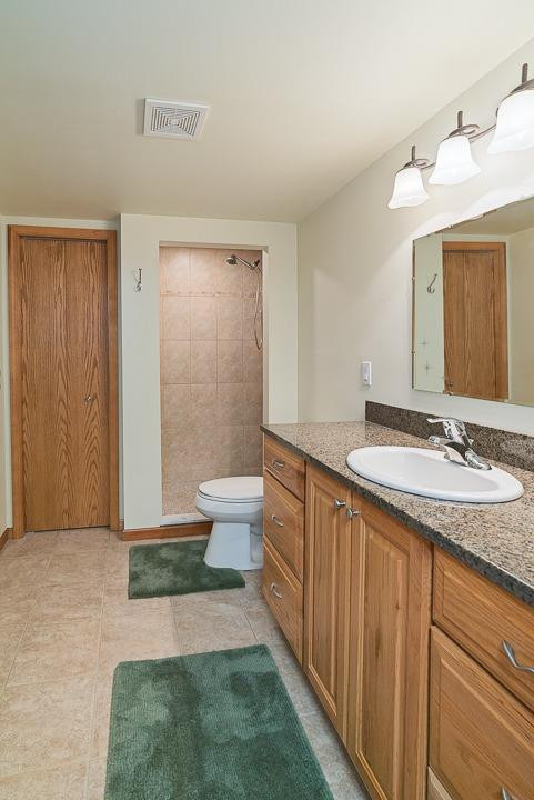 7585 Wood Brook Road Ann Arbor, MI 48103 - Photo 33 of 43 Photo 33