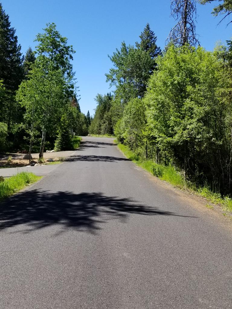 Tbd Divot Lane, Unit 4 McCall, ID 83638 - Photo 12 of 18 Street view South