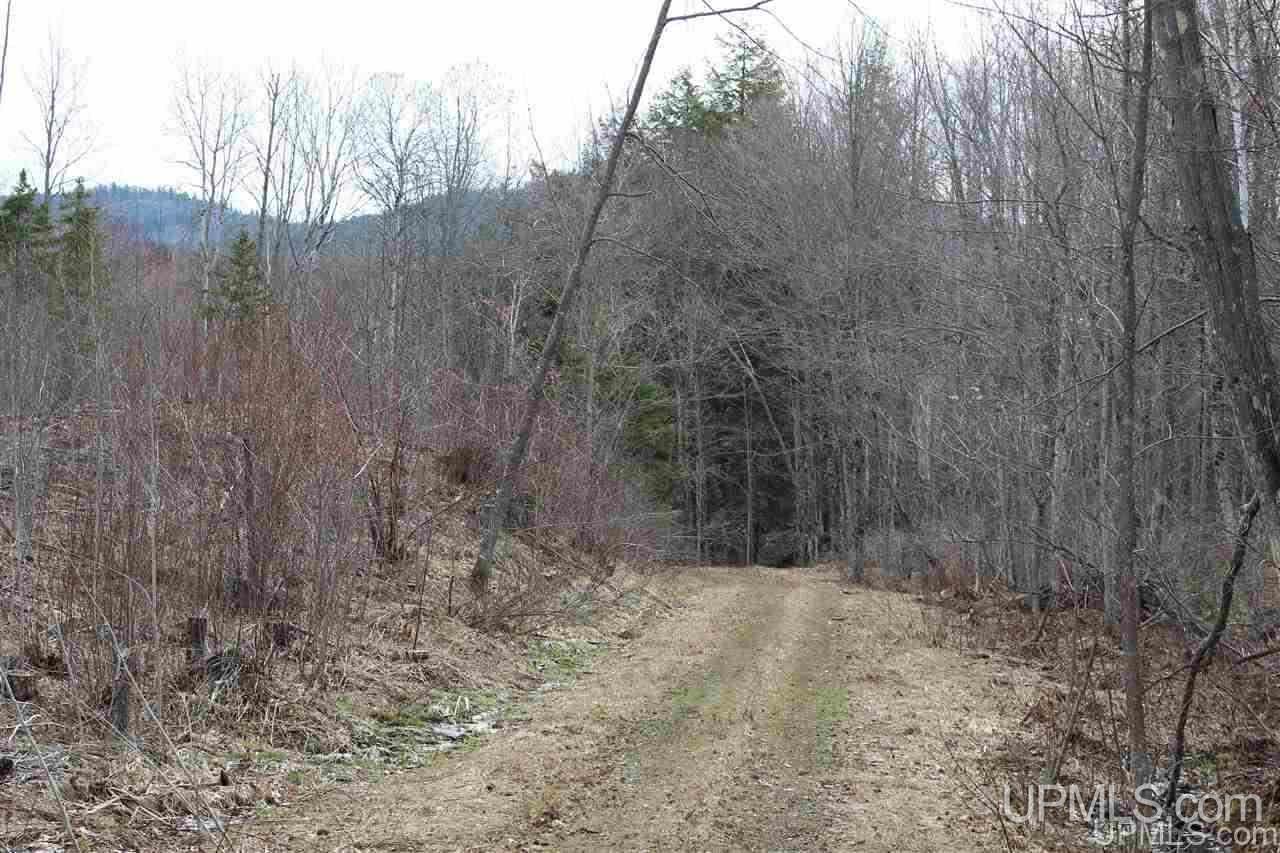 Tbd Ward Road Skanee, MI 49962 - Photo 28 of 32 Gallery Image 28