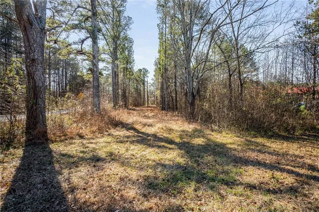 a view of a yard with trees