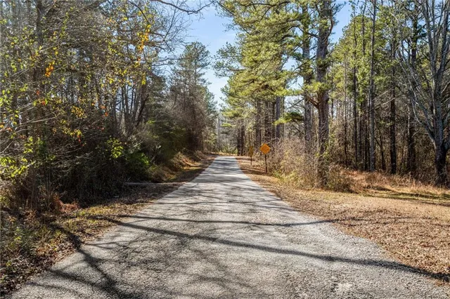 a view of yard with trees