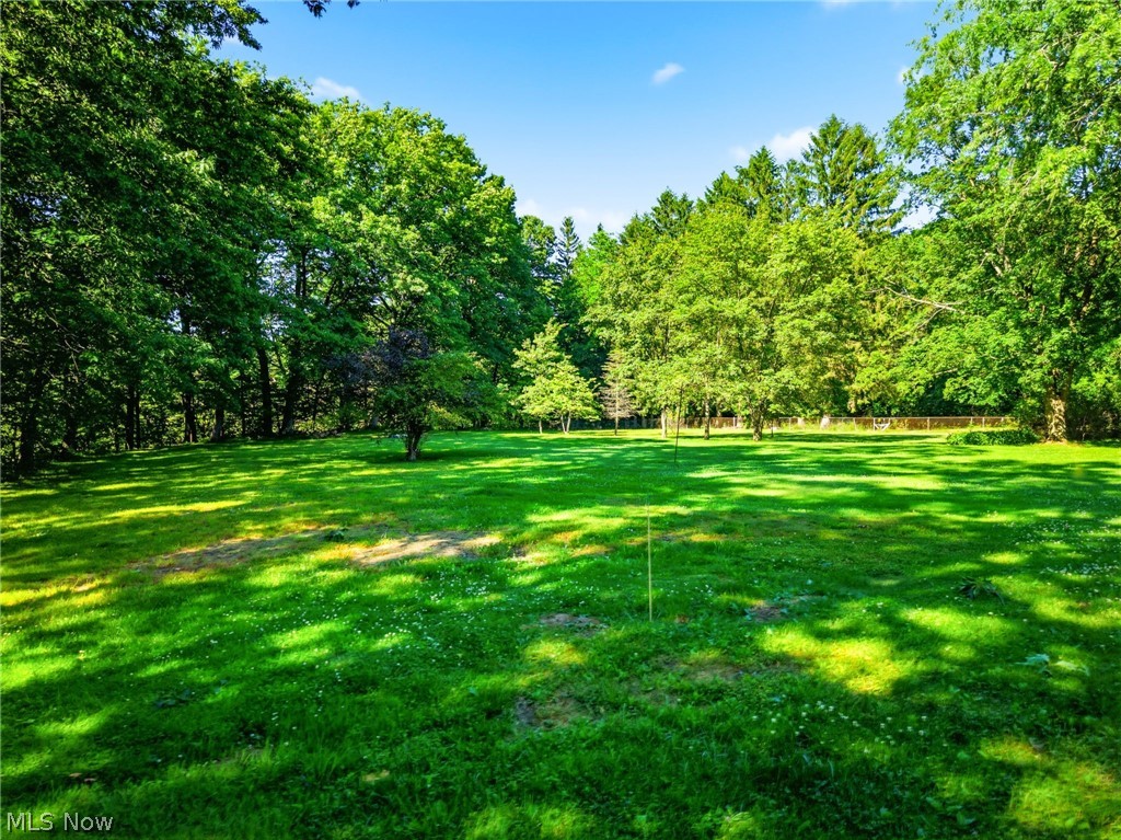 759 Runkle Avenue Ashtabula, OH 44004 - Photo 37 of 40 Expansive grassy area surrounded by lush, mature trees