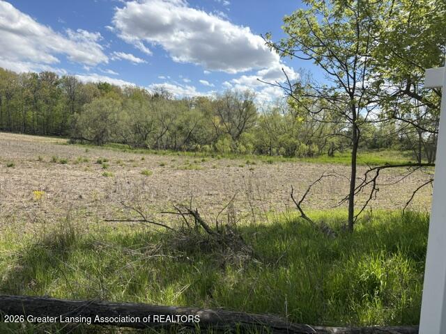 0 West Jason Road Dewitt, MI 48820 - Photo 17 of 17 IMG_8972