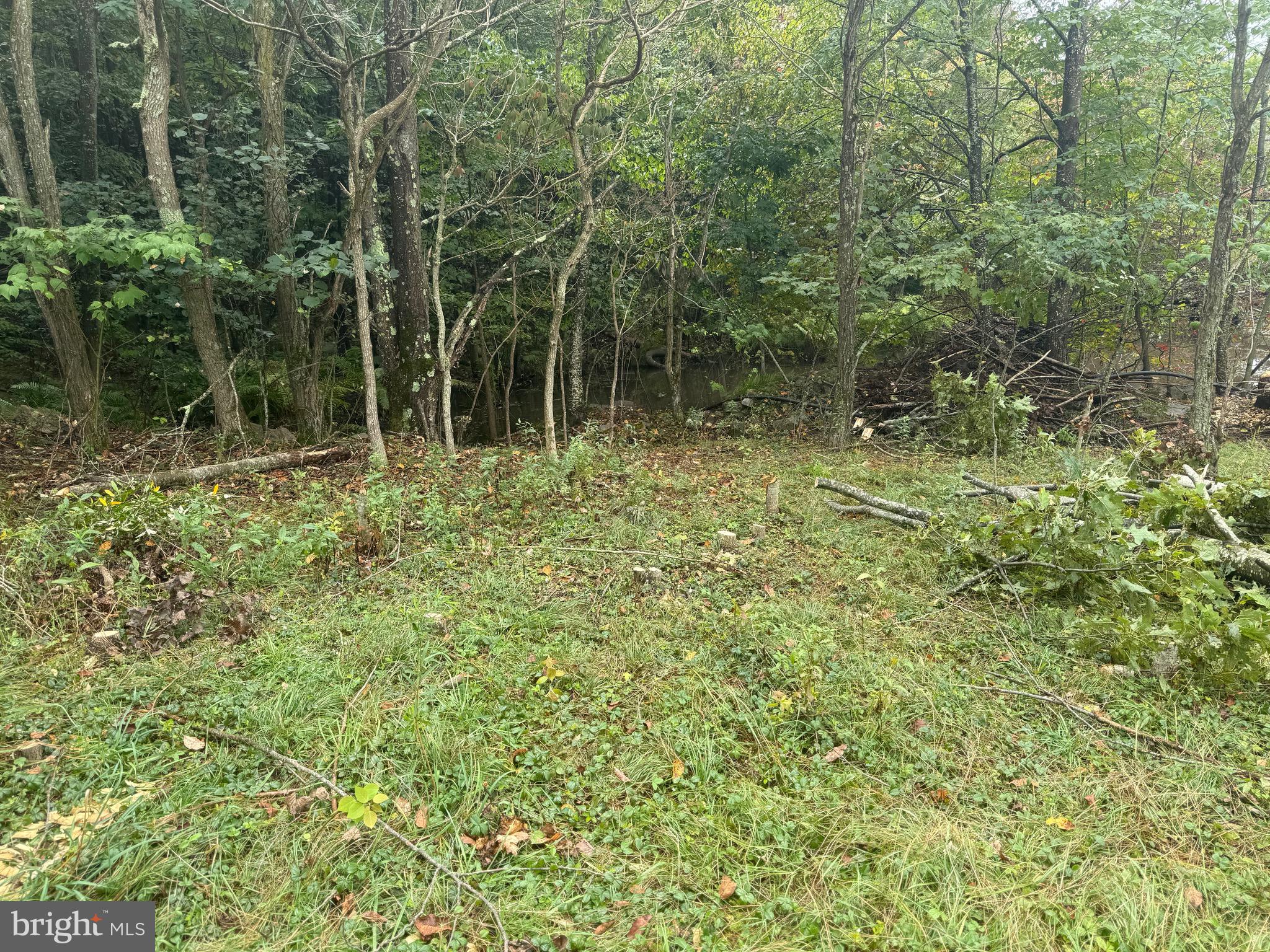 0 Pinnacle Road Keyser, WV 26726 - Photo 36 of 61