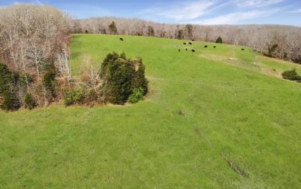 $1,070,000 | 3989 Cadiz Road, Bumpus Mills, TN 37028