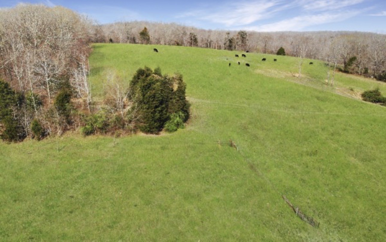 3989 Cadiz Road Bumpus Mills, TN 37028 - Photo 38 of 45