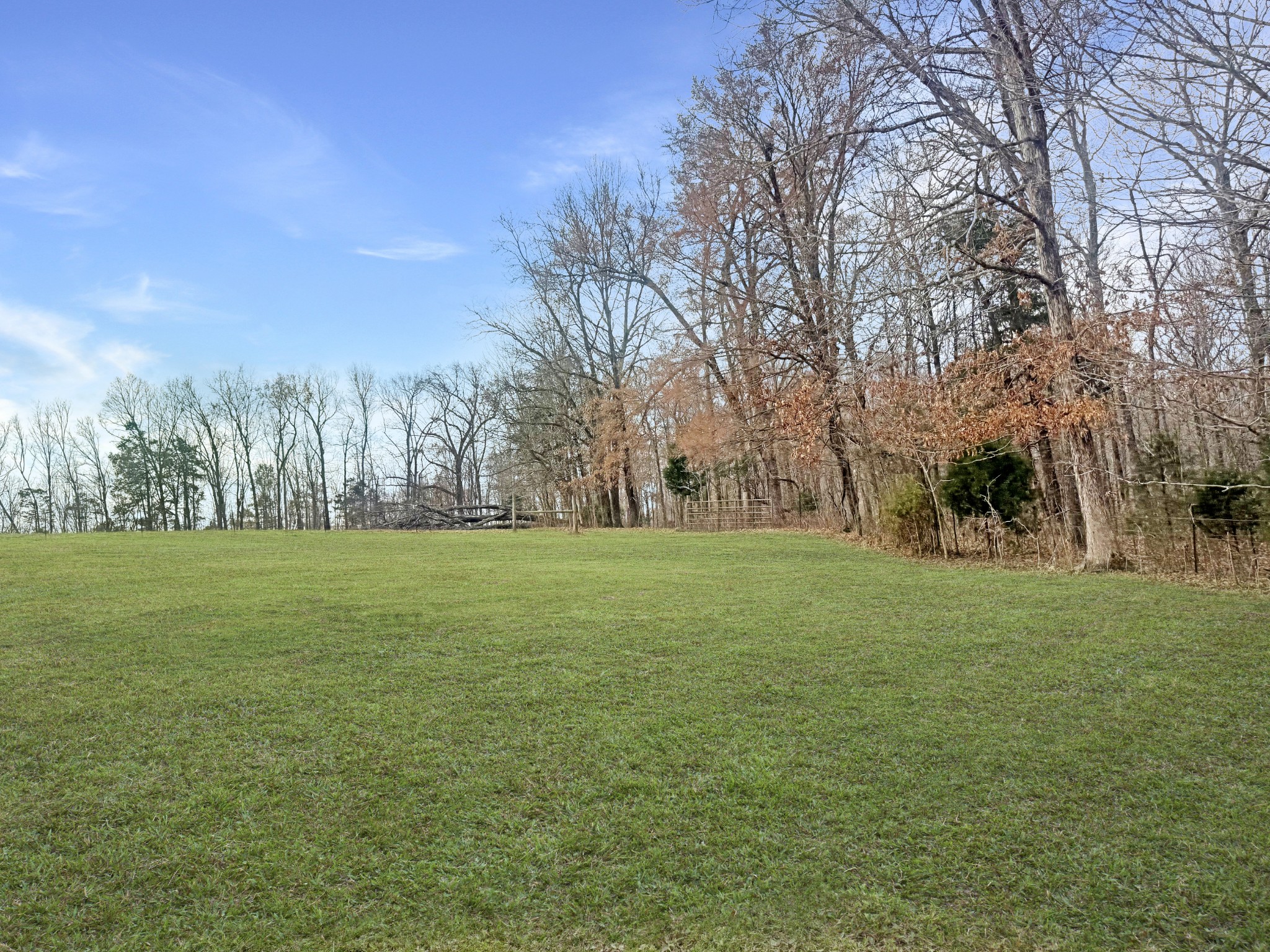 3989 Cadiz Road Bumpus Mills, TN 37028 - Photo 39 of 45
