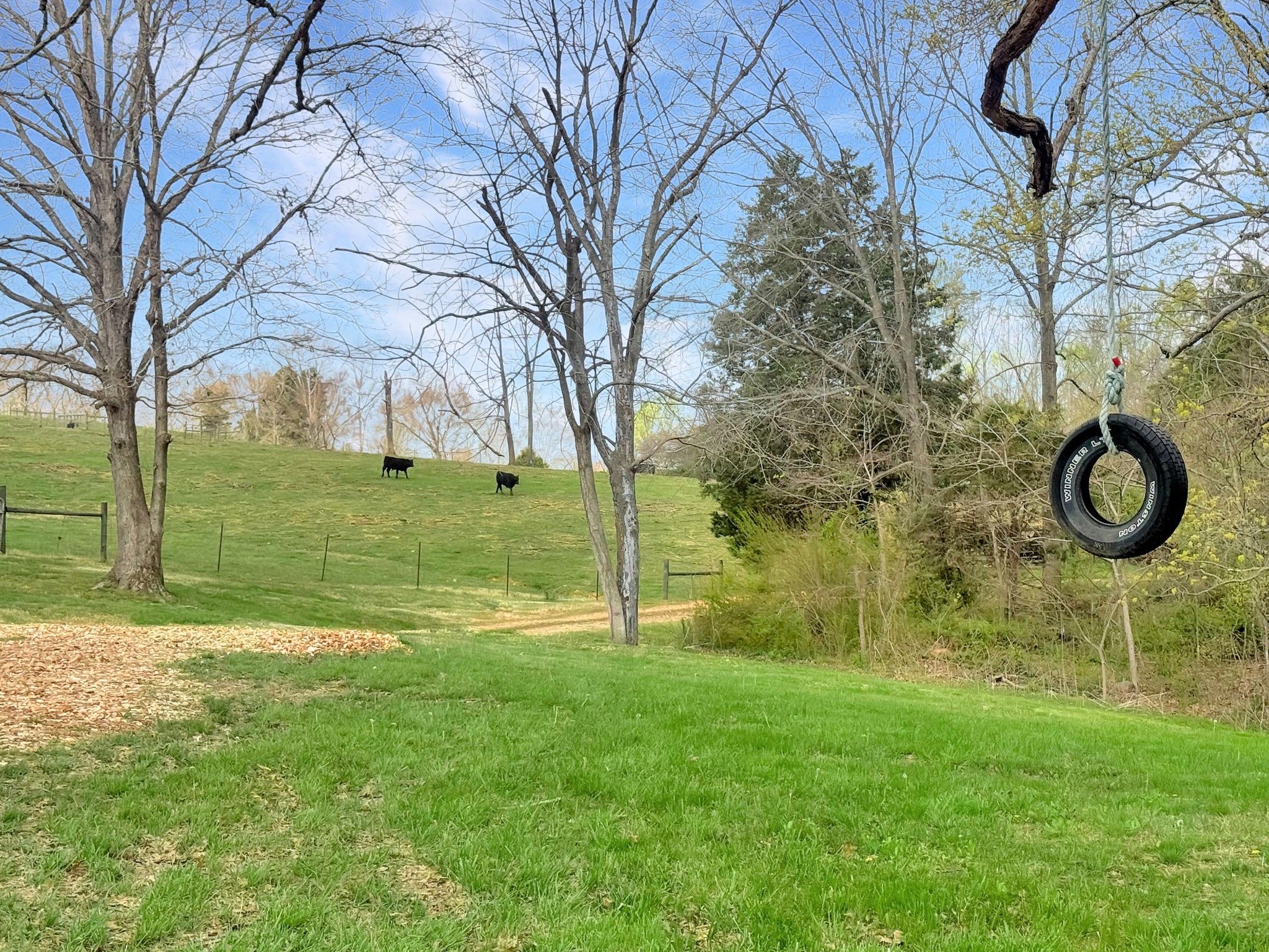 3989 Cadiz Road Bumpus Mills, TN 37028 - Photo 43 of 45