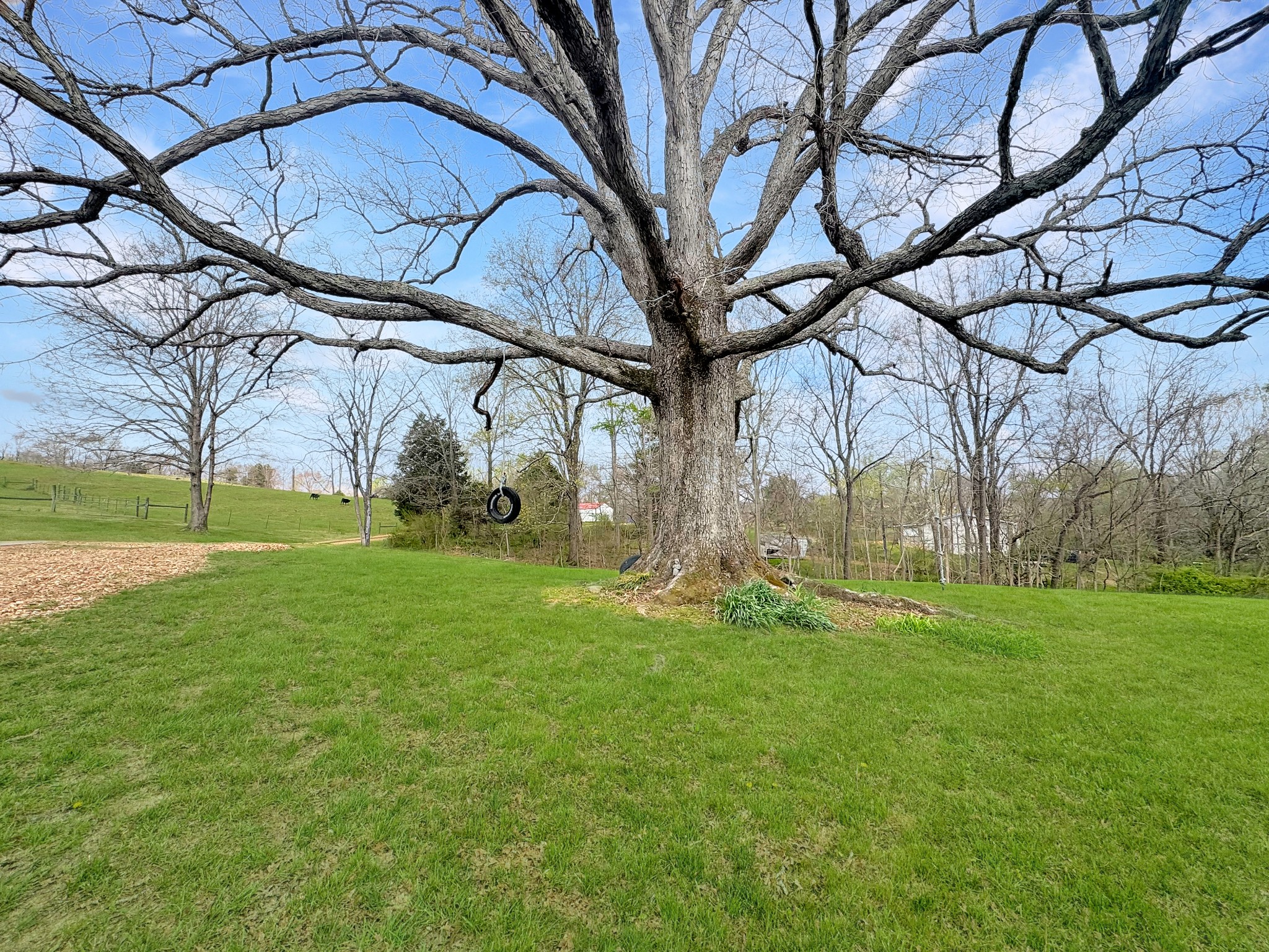 3989 Cadiz Road Bumpus Mills, TN 37028 - Photo 44 of 45