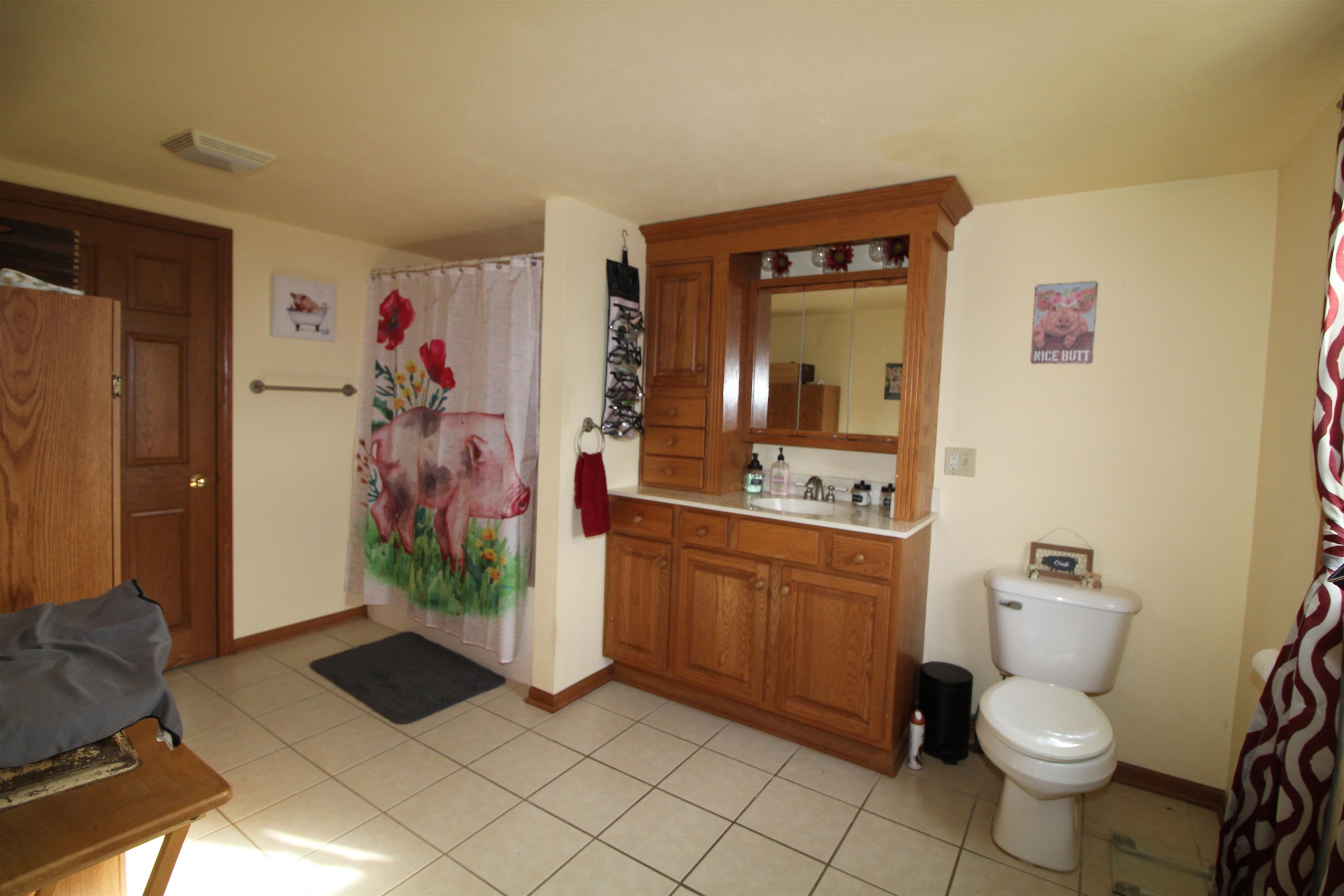 3543 West Prairie Road Freeport, IL 61032 - Photo 16 of 28 a bathroom with a sink toilet and shower