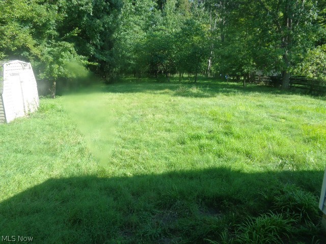 Rear Yard