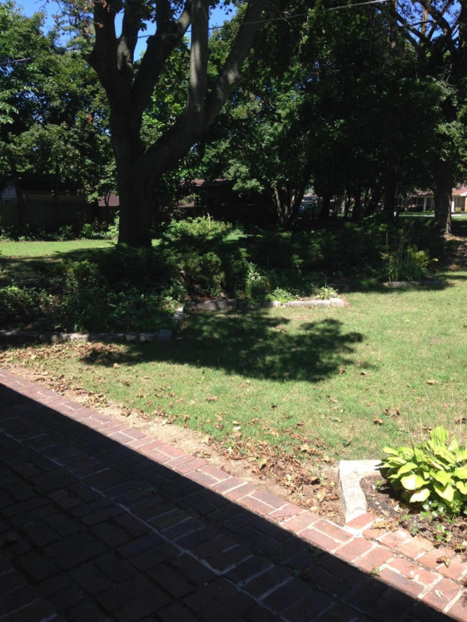 375 Montezuma Road Benton Harbor, MI 49022 - Photo 5 of 33 IMG_2324