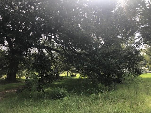 31658 Pea Ridge Road Albany, LA 70711 - Photo 1 of 3