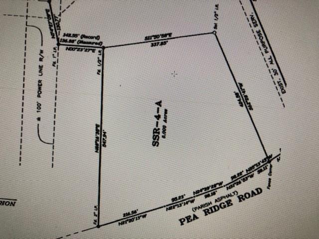 31658 Pea Ridge Road Albany, LA 70711 - Photo 3 of 3