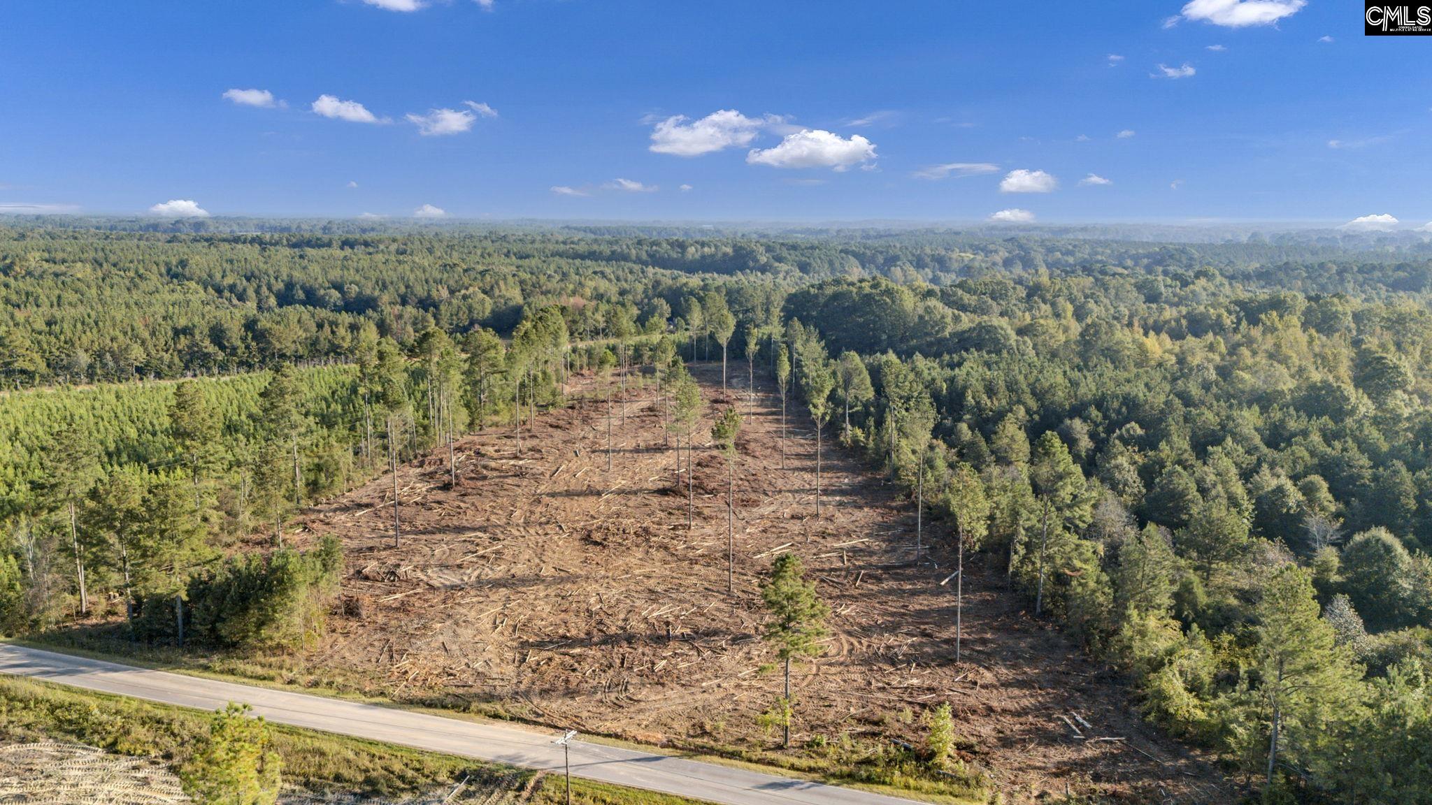 0 Fruit Hill Road Saluda, SC 29138 - Photo 8 of 17