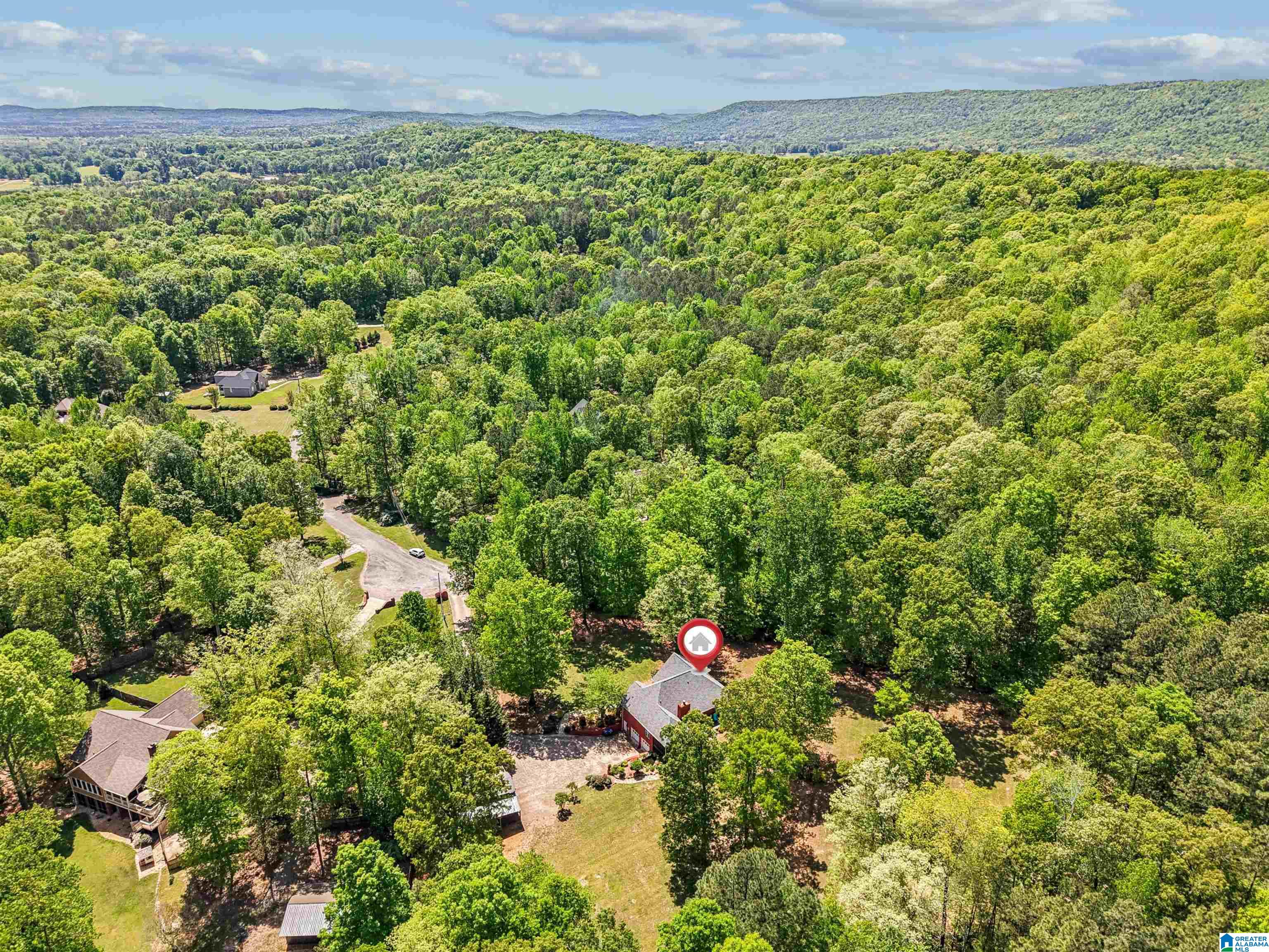 706 Oak Valley Road Springville, AL 35146 - Photo 53 of 55