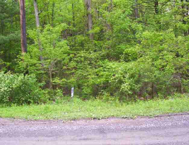 2 Paradise Lake Road Catskill, NY 12414 - Photo 2 of 6 Photo 2
