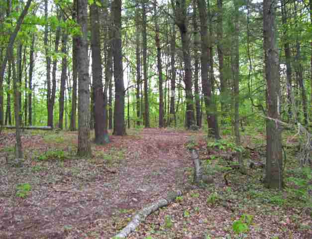 2 Paradise Lake Road Catskill, NY 12414 - Photo 5 of 6 Photo 5