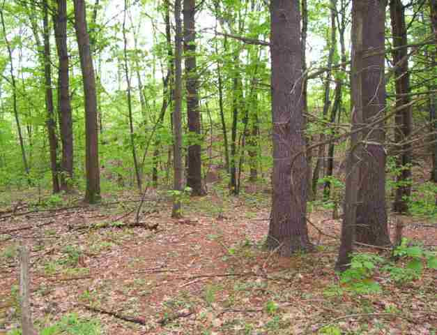 2 Paradise Lake Road Catskill, NY 12414 - Photo 6 of 6 Photo 6