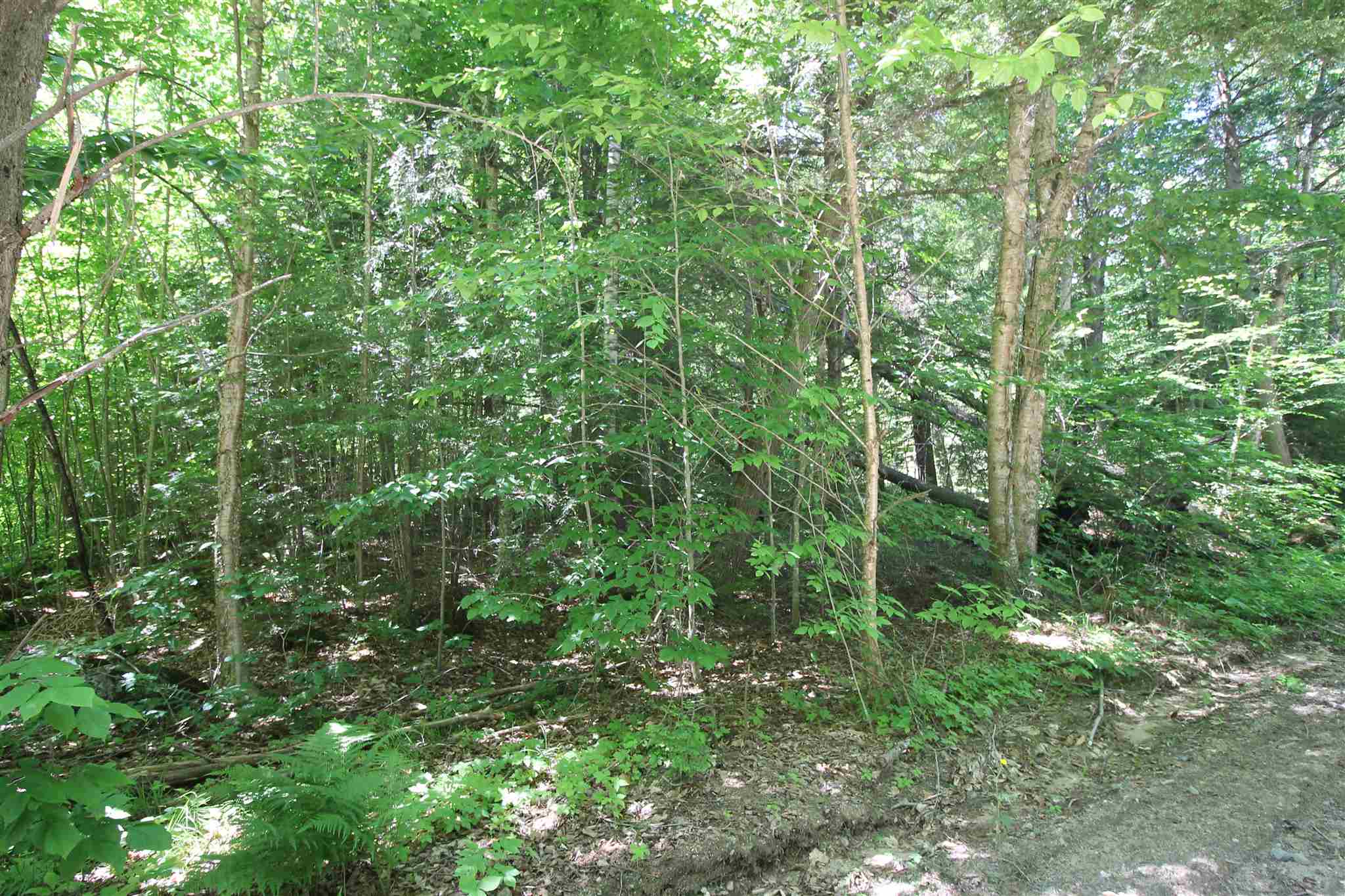 Tbd Spring Hill Road Campton, NH 03223 - Photo 2 of 11