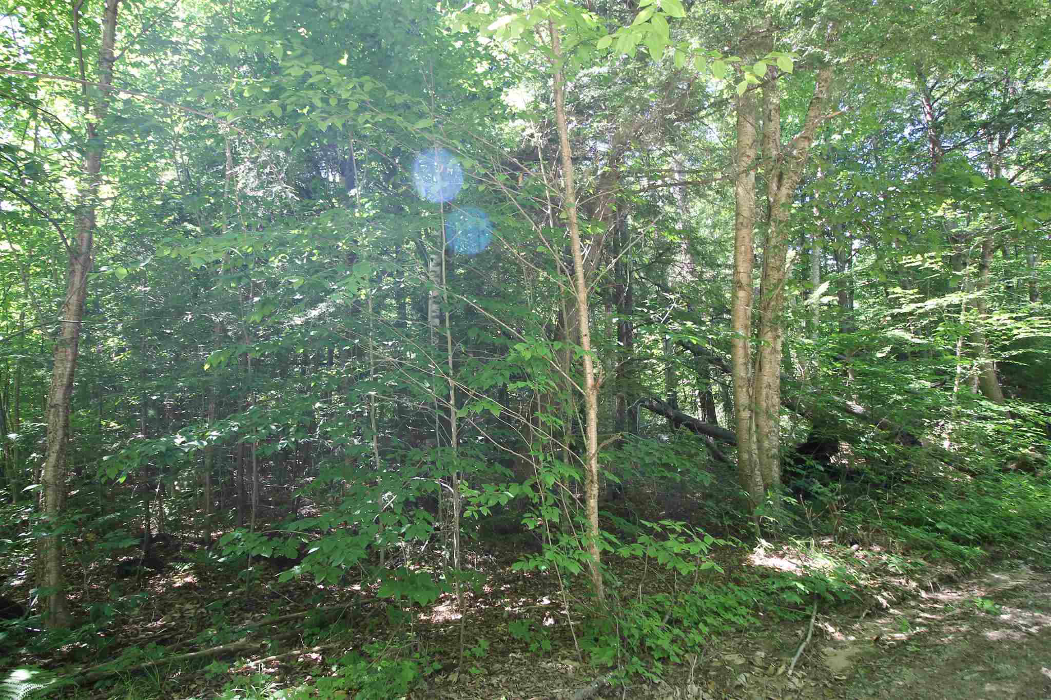 Tbd Spring Hill Road Campton, NH 03223 - Photo 3 of 11