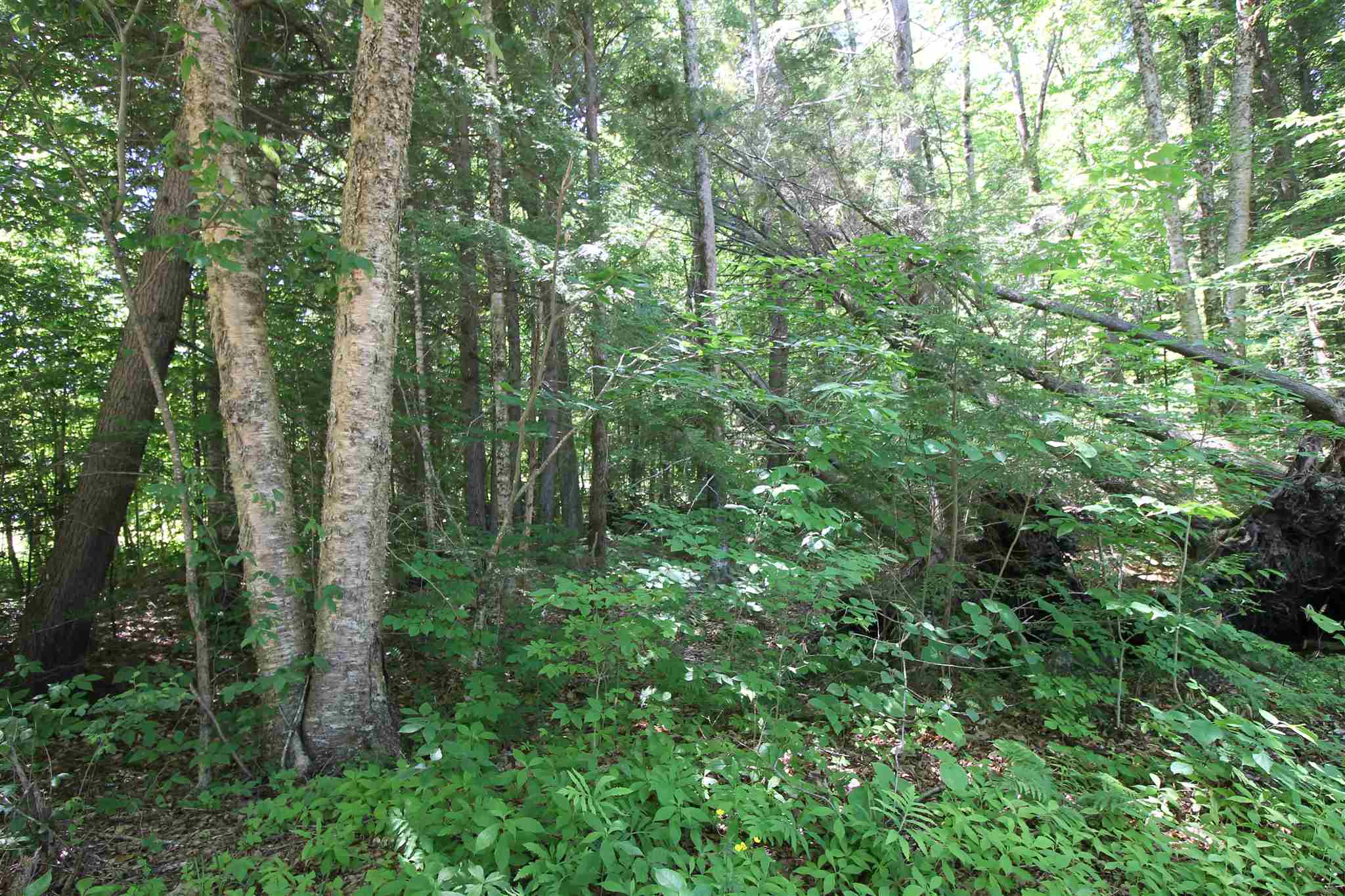 Tbd Spring Hill Road Campton, NH 03223 - Photo 5 of 11