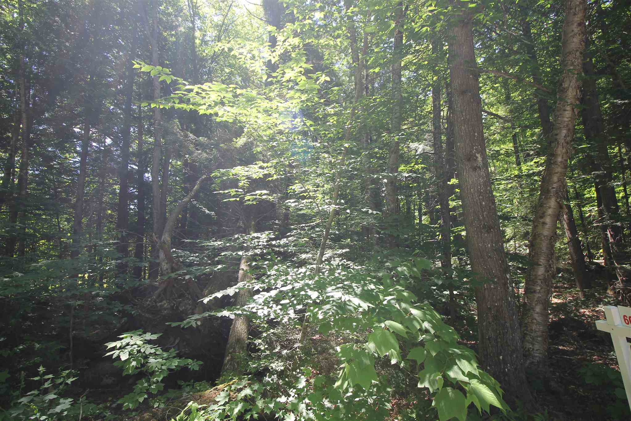 Tbd Spring Hill Road Campton, NH 03223 - Photo 6 of 11
