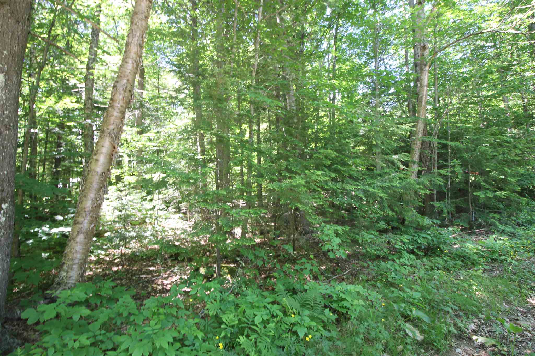 Tbd Spring Hill Road Campton, NH 03223 - Photo 7 of 11