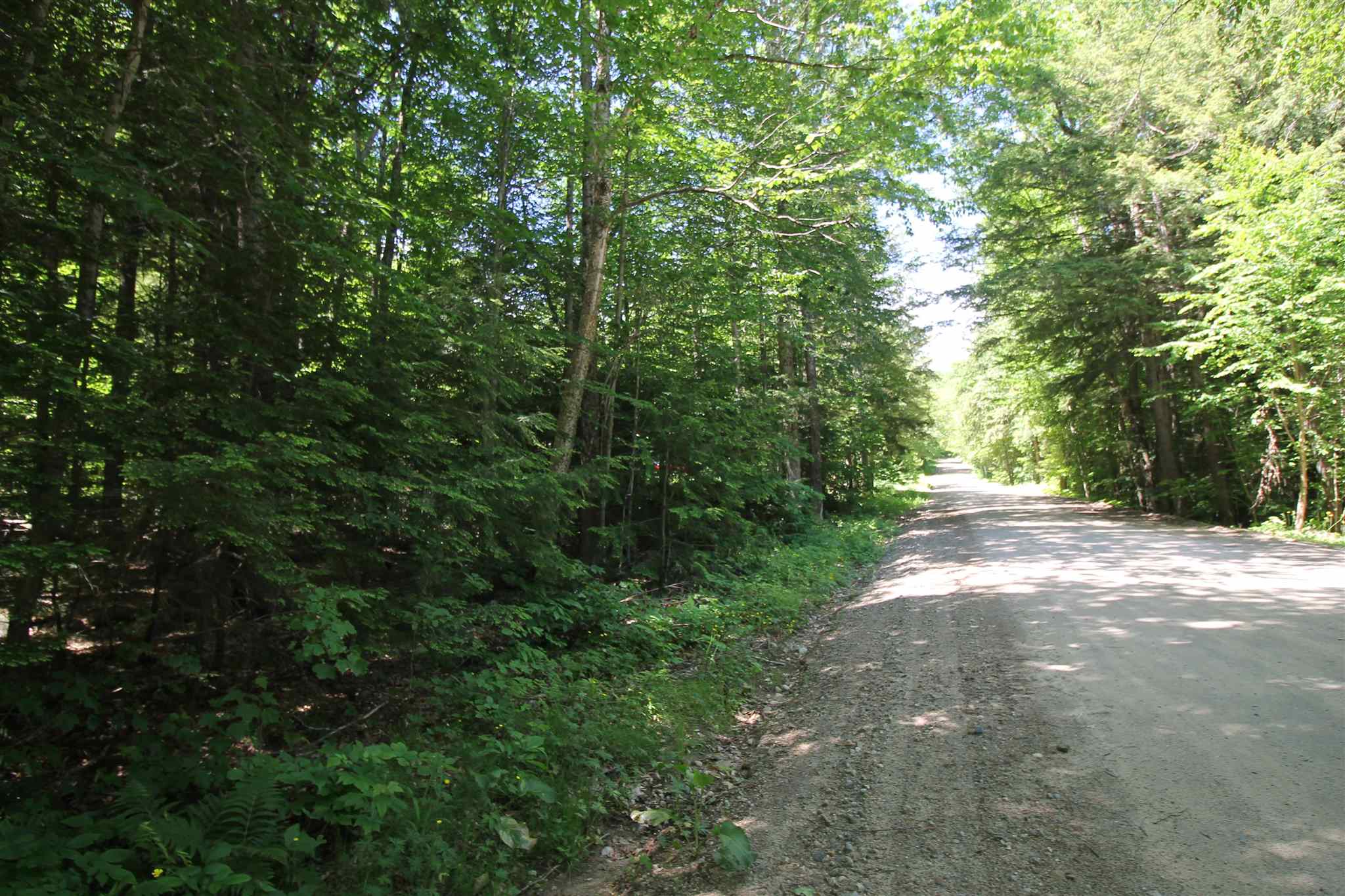 Tbd Spring Hill Road Campton, NH 03223 - Photo 8 of 11
