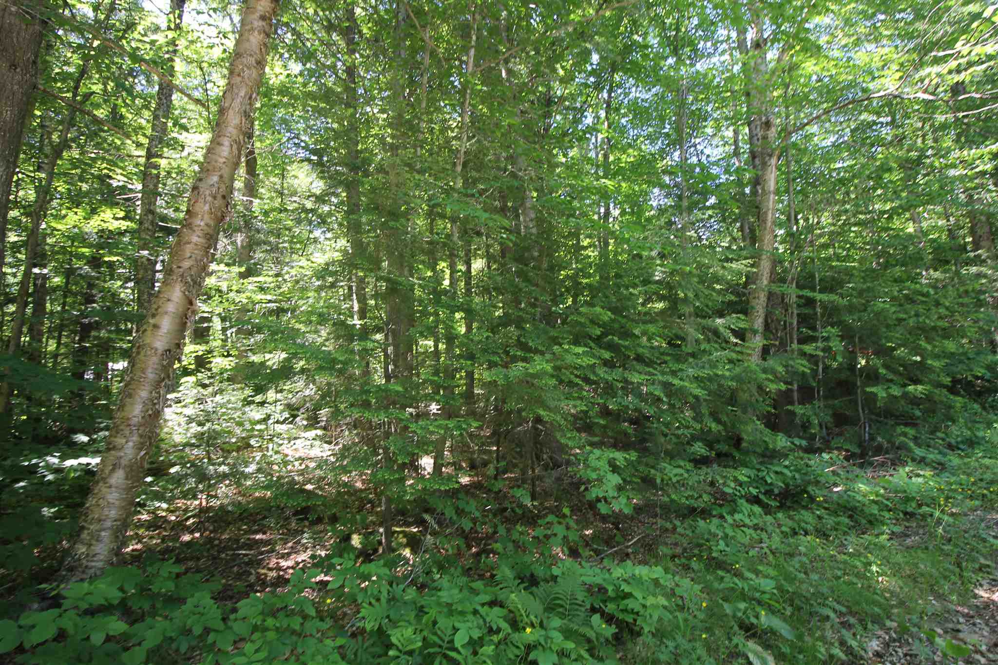 Tbd Spring Hill Road Campton, NH 03223 - Photo 9 of 11