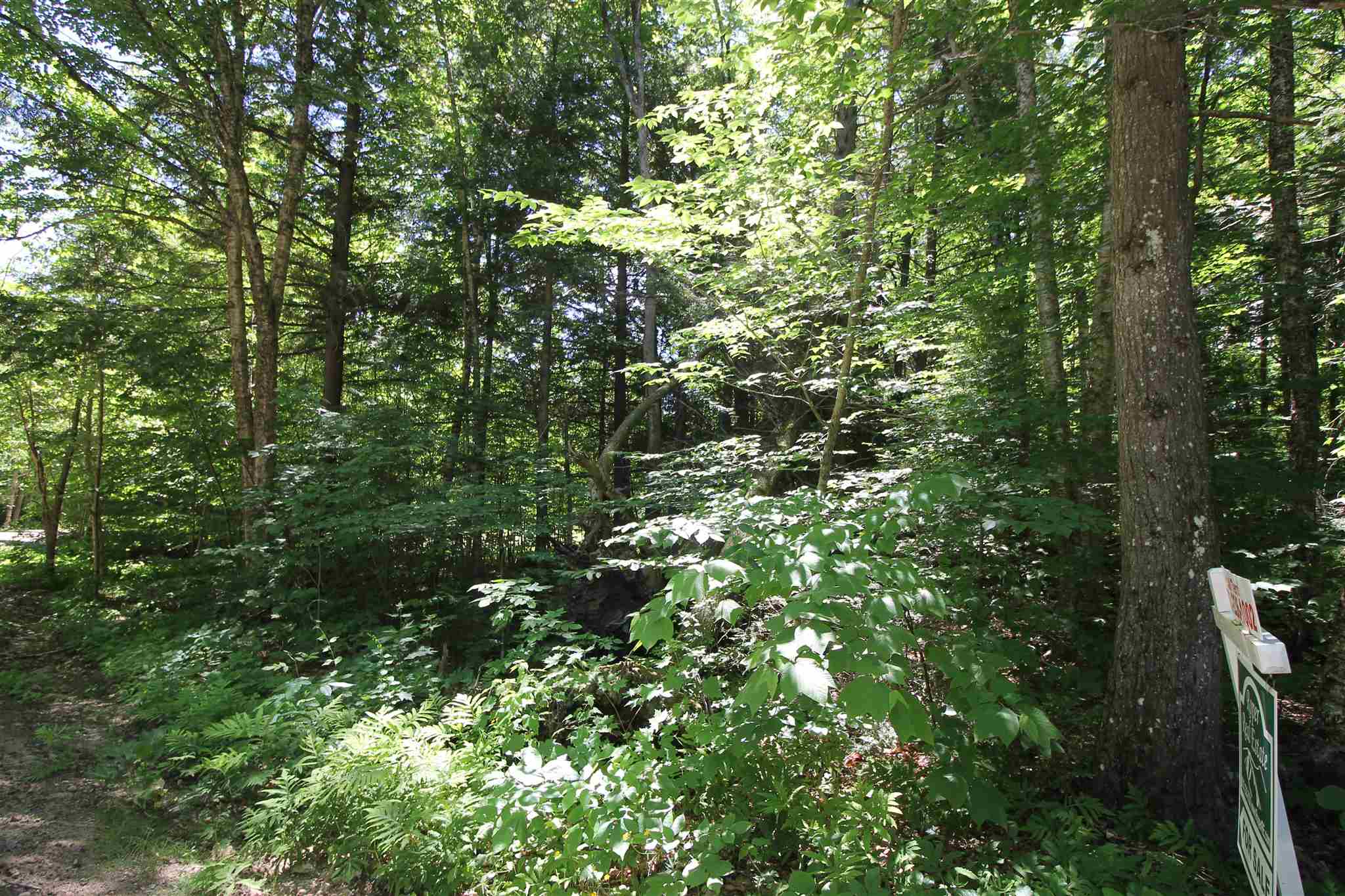 Tbd Spring Hill Road Campton, NH 03223 - Photo 10 of 11