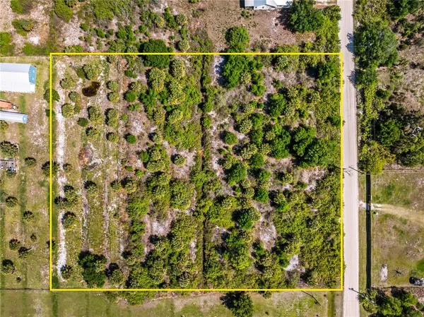 a view of a yard