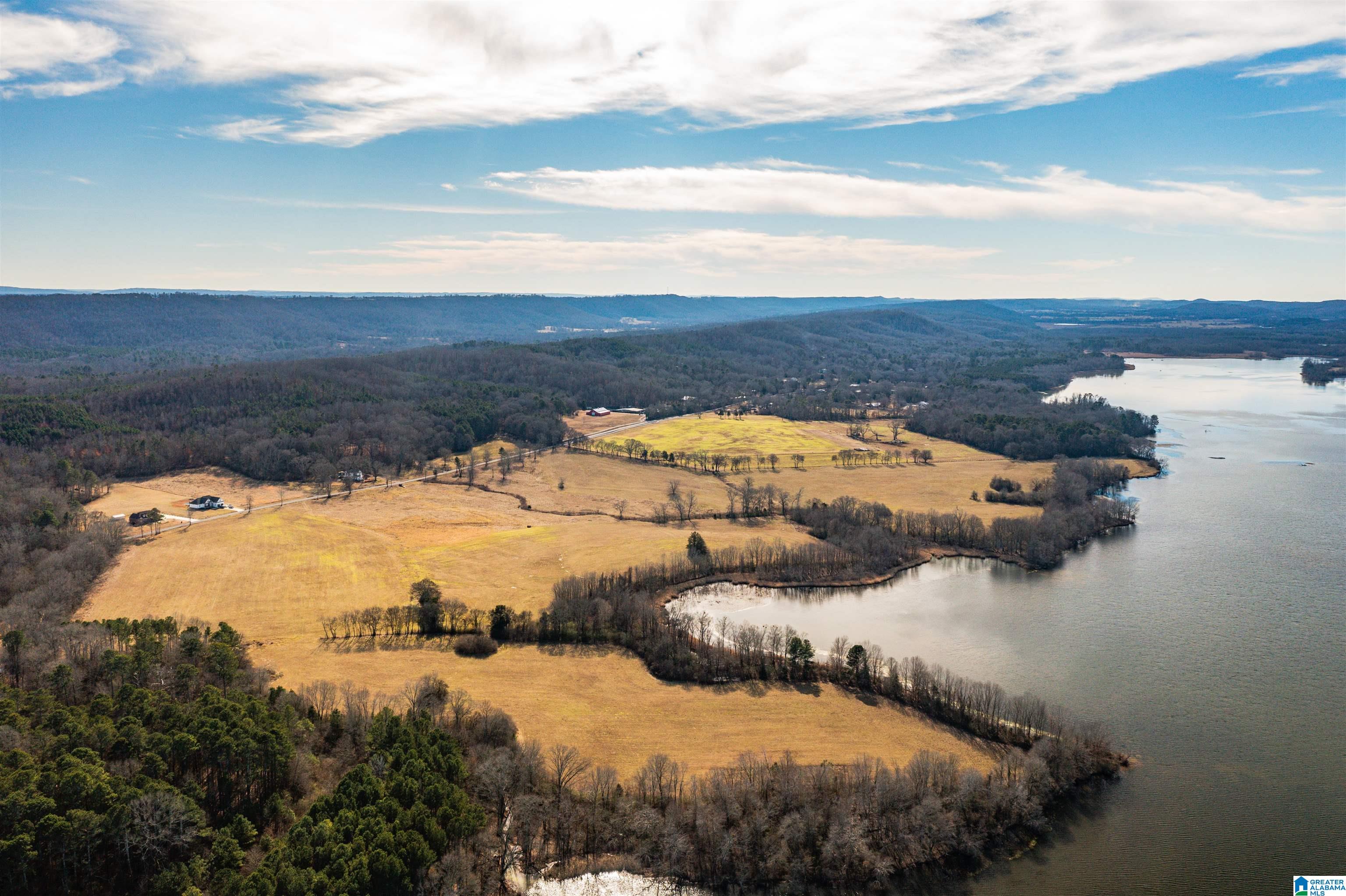 0 Browns Valley Road Guntersville, AL 35976 - Photo 8 of 39