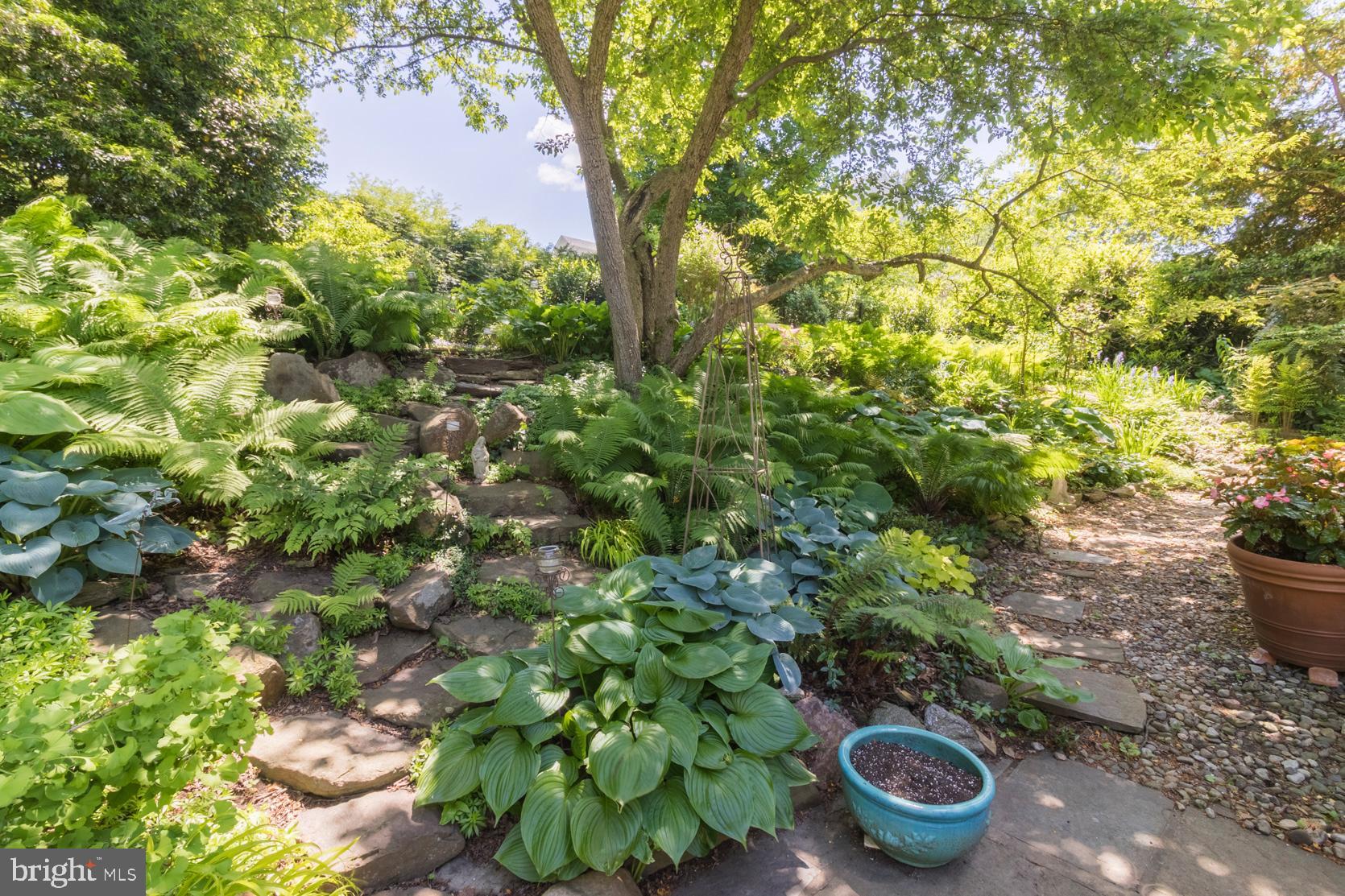 80 West Hampton Road Philadelphia, PA 19118 - Photo 33 of 52 Choose any of the meandering garden paths
