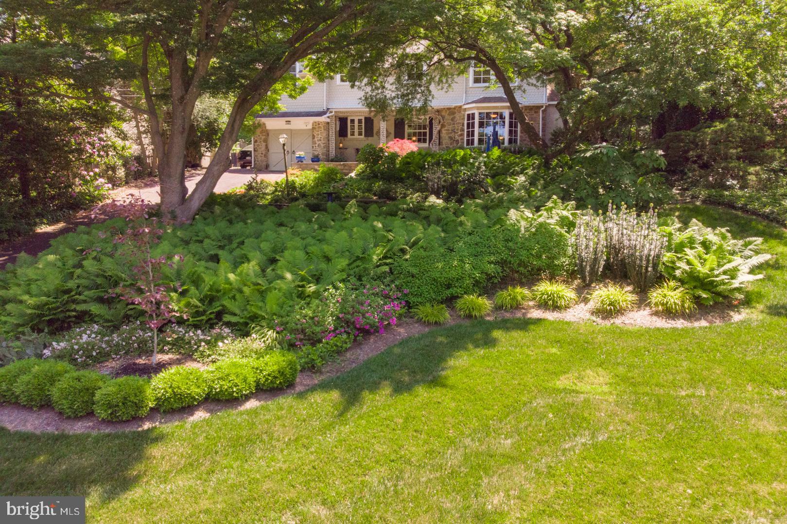 80 West Hampton Road Philadelphia, PA 19118 - Photo 44 of 52 Professional landscaped shade garden