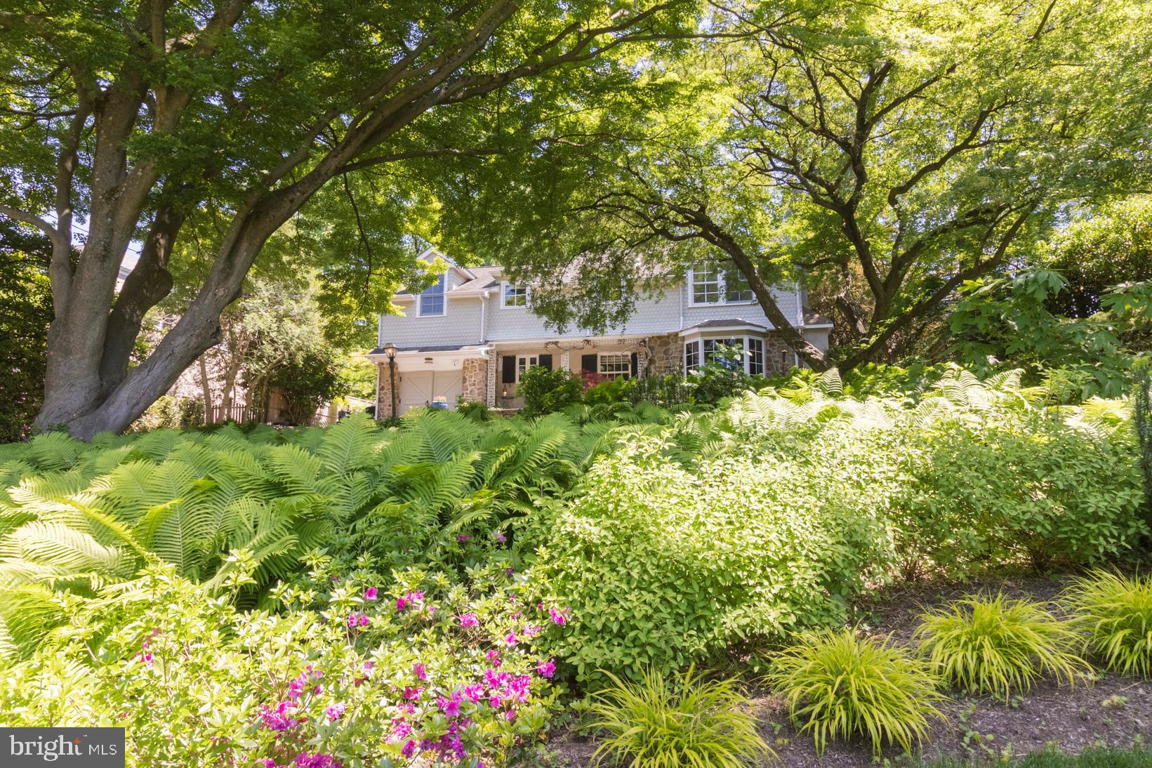 80 West Hampton Road Philadelphia, PA 19118 - Photo 45 of 52 It doesn't get more beautiful than this!