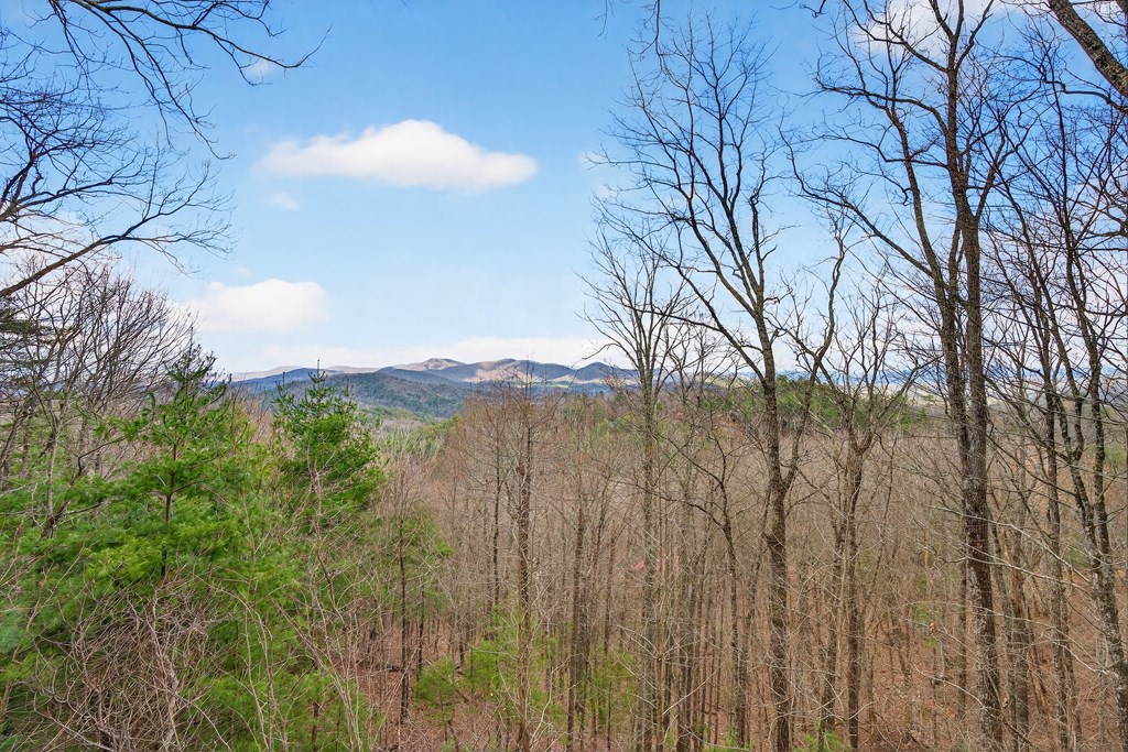 980 Bell Camp Ridge Road Blue Ridge, GA 30513 - Photo 33 of 36 Gallery Image 33