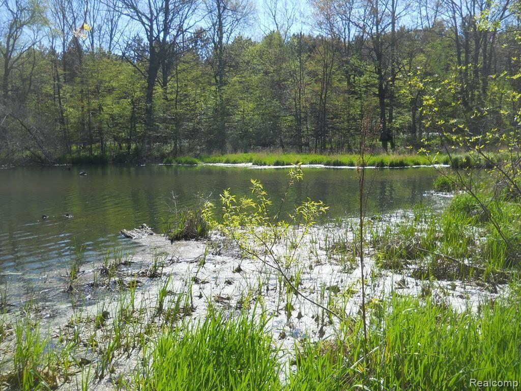 3321 Bishop Road Dryden, MI 48428 - Photo 23 of 27 Part of Belle River complex, leading into small creek to right.