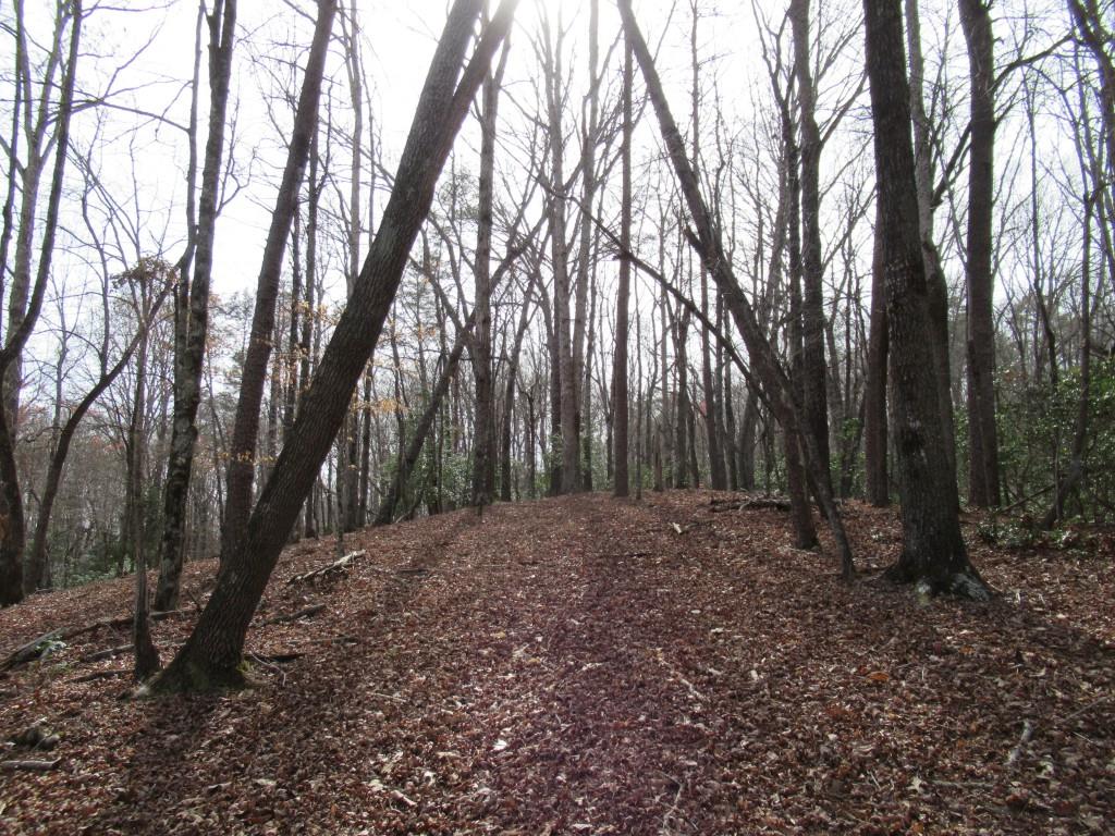 0 Long Branch Road Dahlonega, GA 30533 - Photo 2 of 8