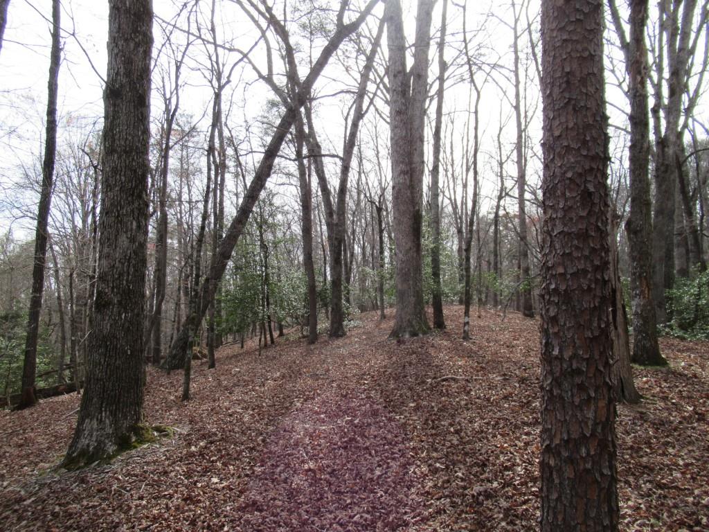 0 Long Branch Road Dahlonega, GA 30533 - Photo 3 of 8