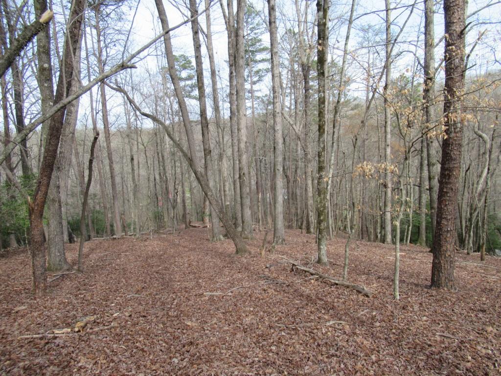 0 Long Branch Road Dahlonega, GA 30533 - Photo 6 of 8