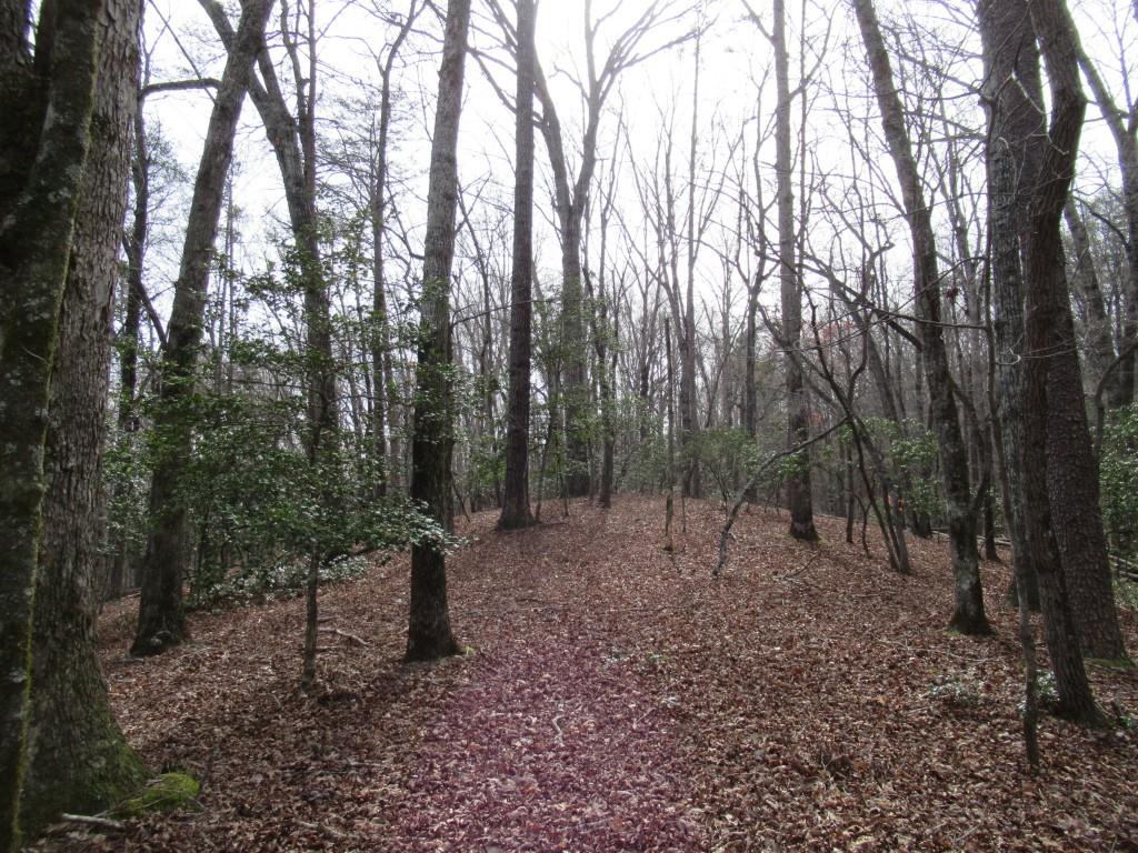 0 Long Branch Road Dahlonega, GA 30533 - Photo 7 of 8