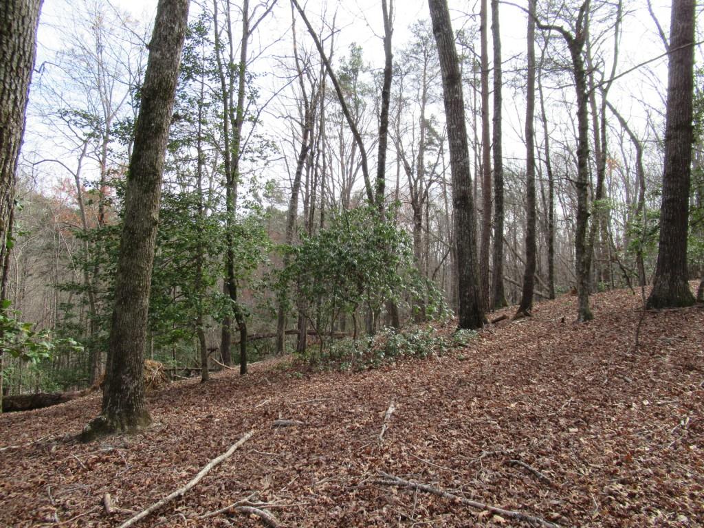 0 Long Branch Road Dahlonega, GA 30533 - Photo 8 of 8