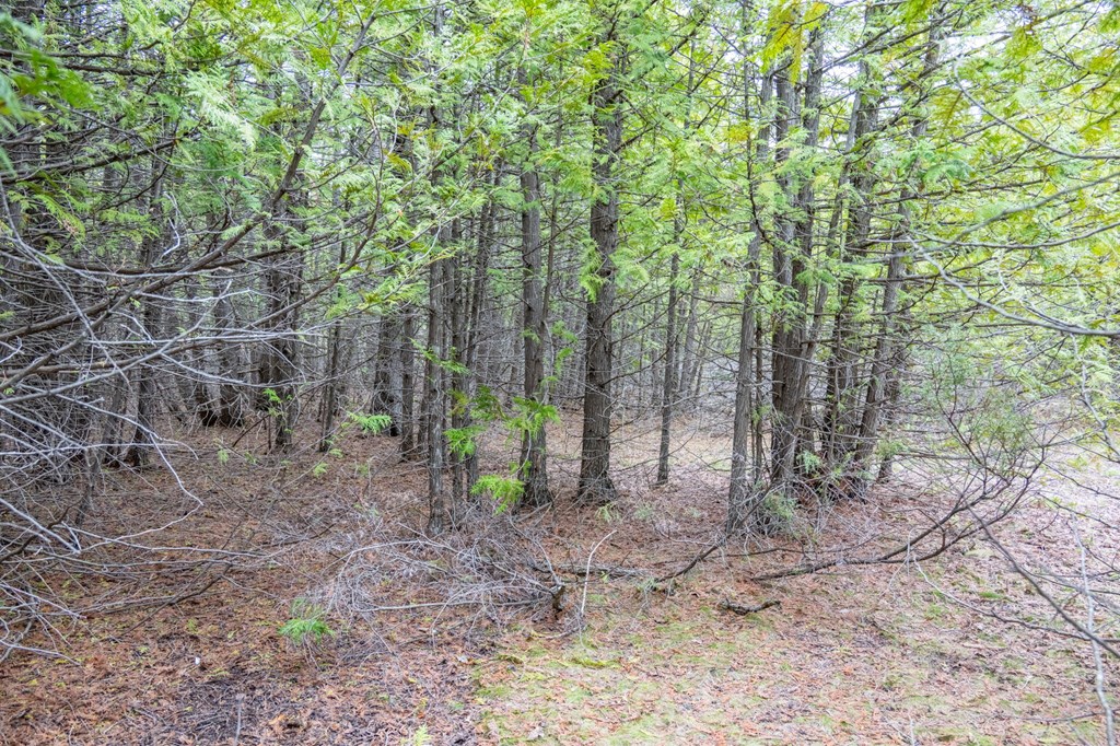 Lot 2 Hill Road Sister Bay, WI 54234 - Photo 10 of 35