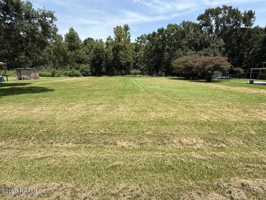 Tbd Reams Road St. Martinville, LA 70582 - Photo 2 of 2 IMG_0495