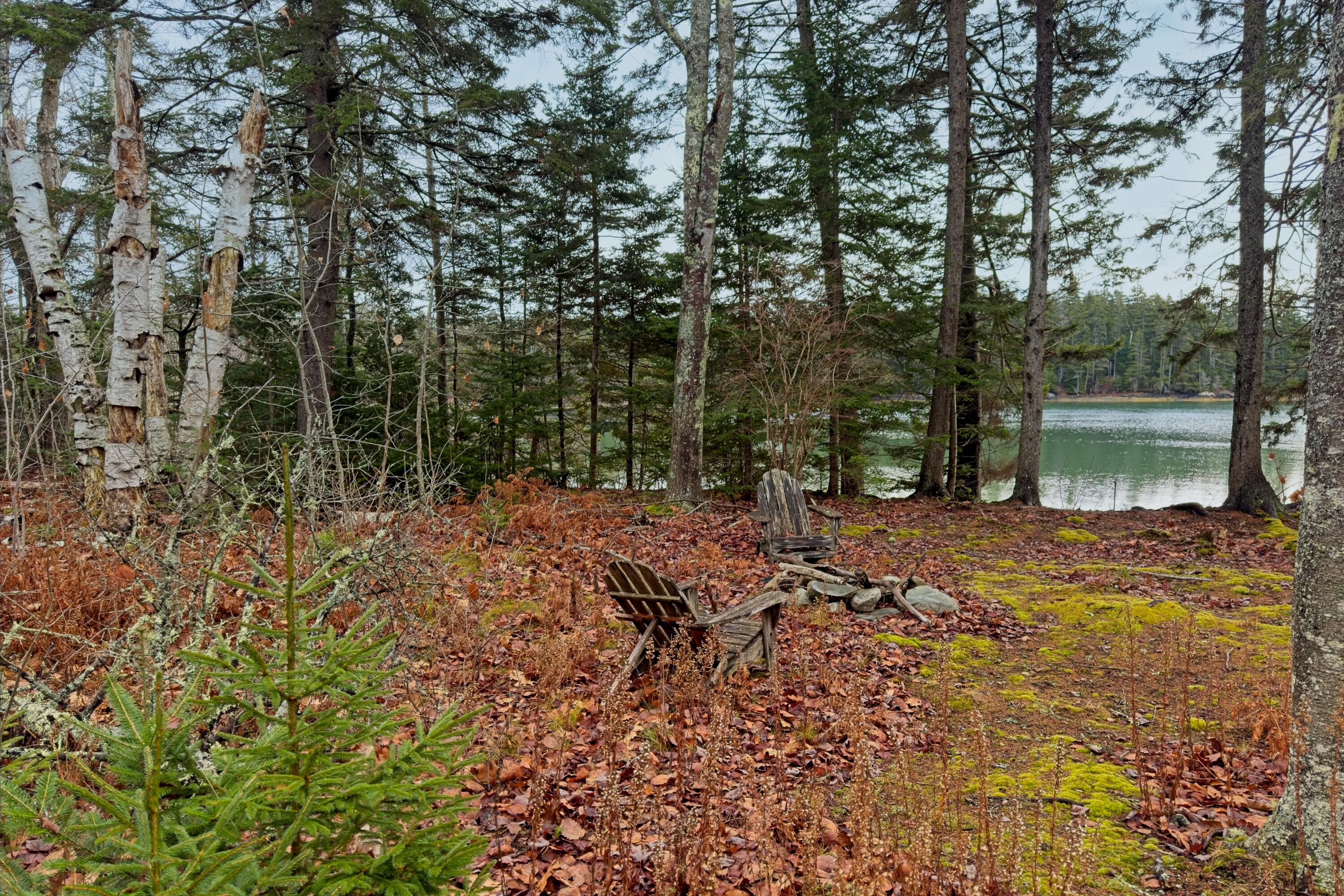165 Cushing Road Friendship, ME 04547 - Photo 26 of 28 Front yard