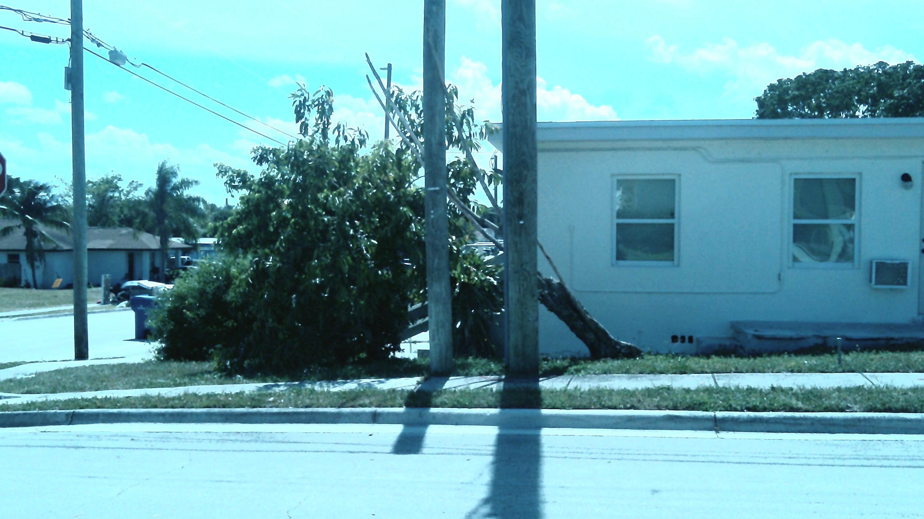 900 West 9th Street Riviera Beach, FL 33404 - Photo 5 of 25 DSCF0355