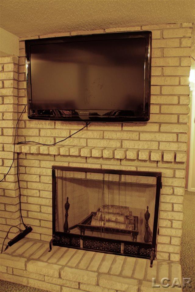 1515 East Carleton Road Adrian, MI 49221 - Photo 21 of 23 Basement Fire Place
