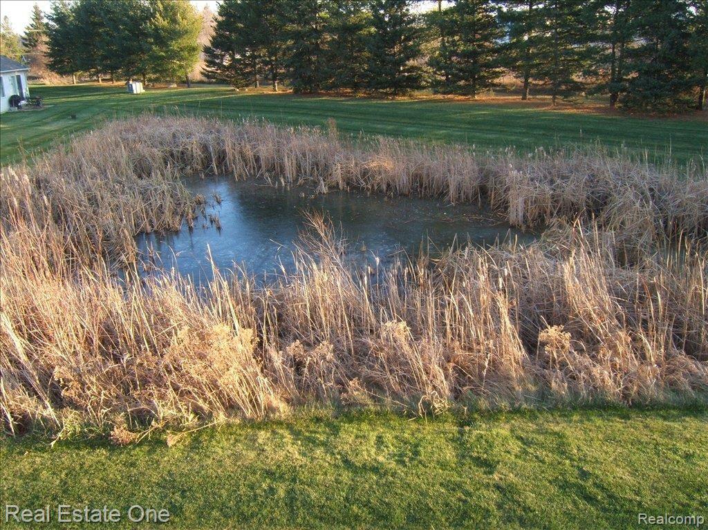 83 Sedum Road, Unit 142 Howell, MI 48843 - Photo 4 of 23 wetlands